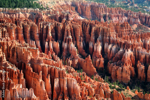 bryce canyon close up view