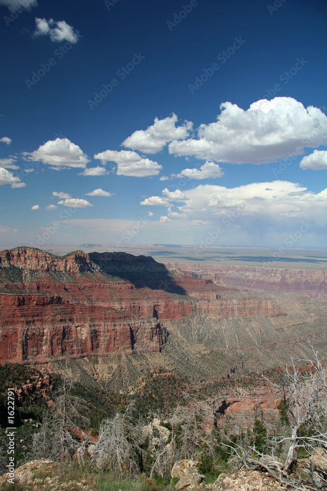 grand canyon overlook
