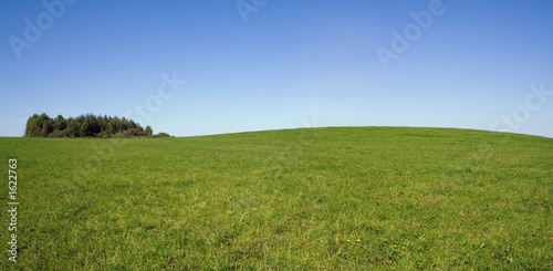 summer panorama landscape with sky and field