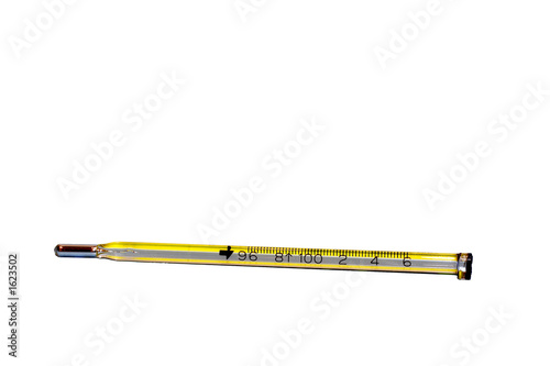 oral thermometer