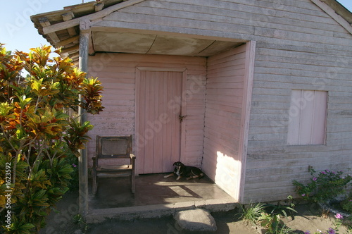 maison de campagne cubaine