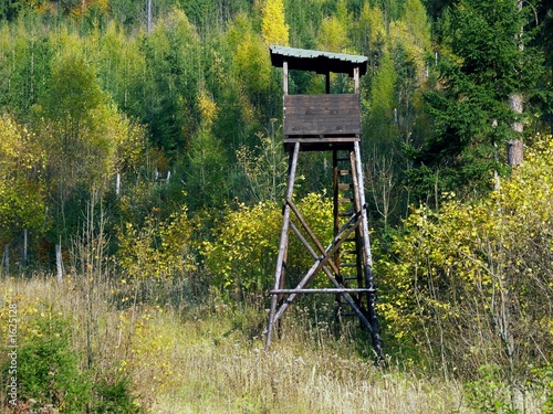 watch tower in forest