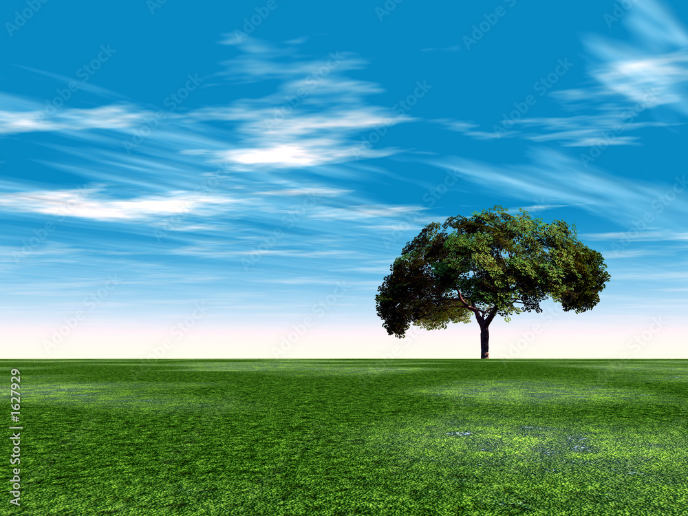 single tree single tree