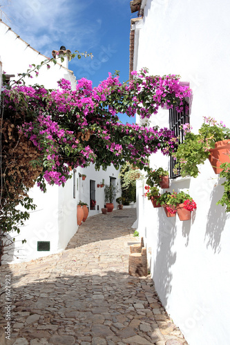 narrow, cobbled streets and houses of spanish pueblo