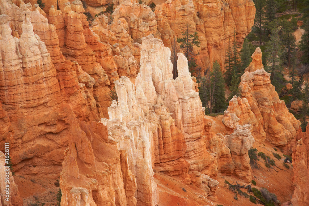 amphitheater - bryce canyon amphitheater - bryce canyon