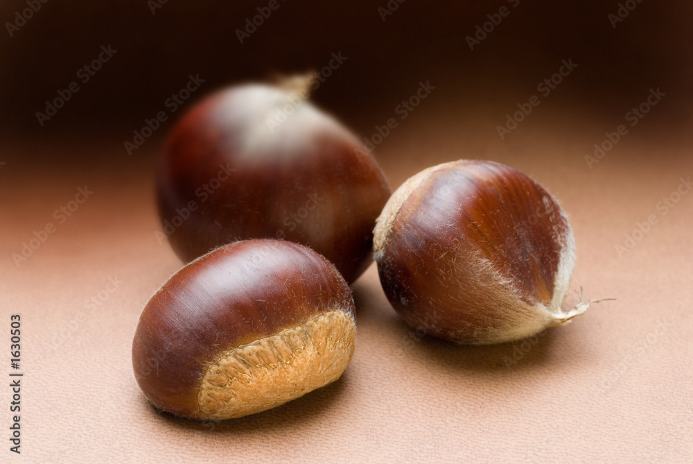 chestnut trio on brown tone background chestnut trio on brown tone background