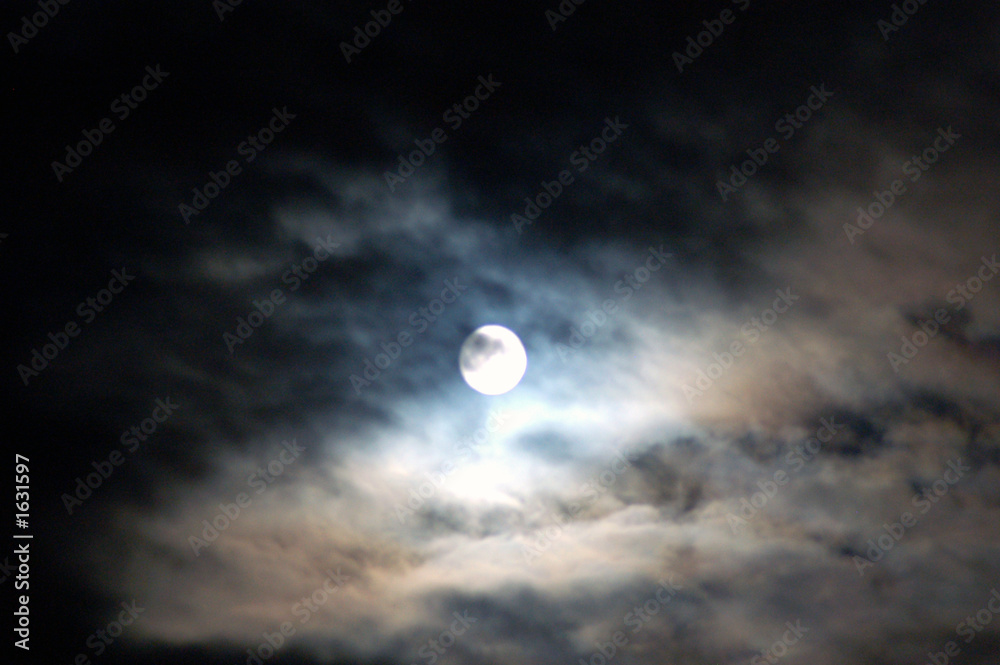 moon shine