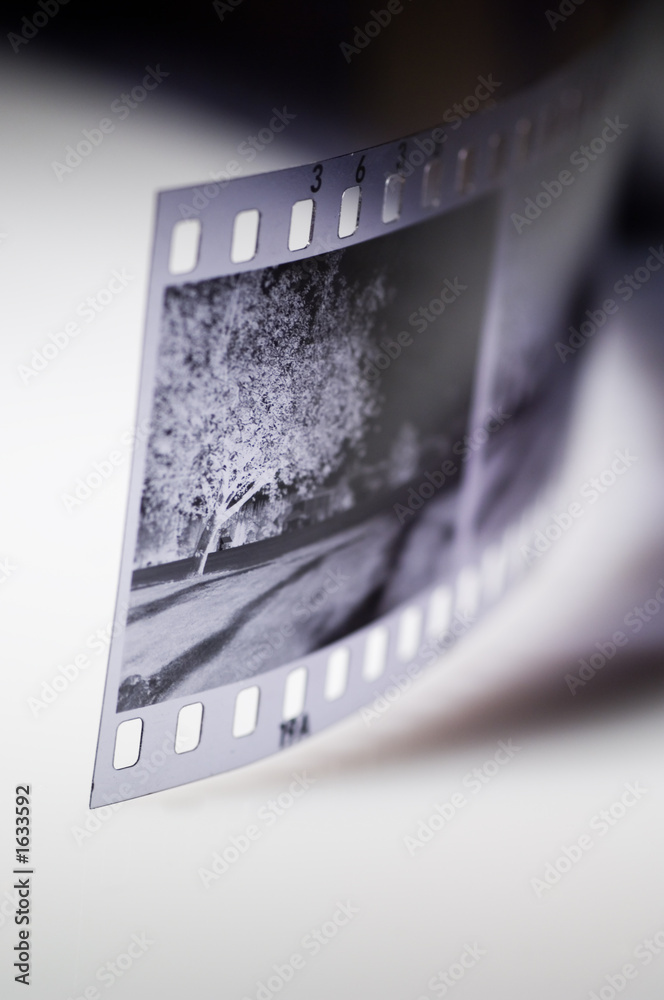 black and white film