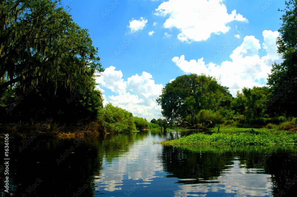 Fototapeta premium kissimmee river scenes 4