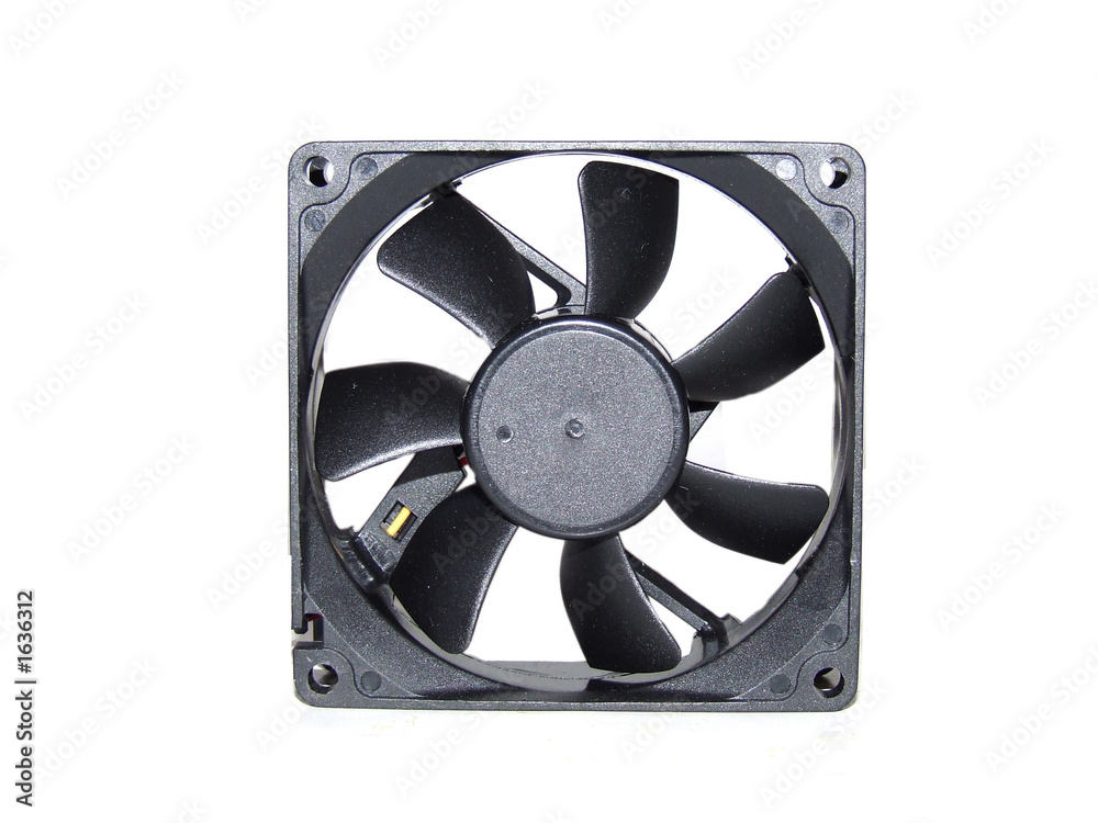 fan fan