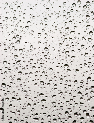 drops of a rain