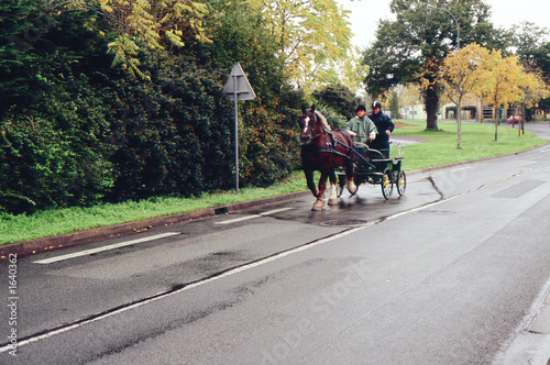 chevaux sur route