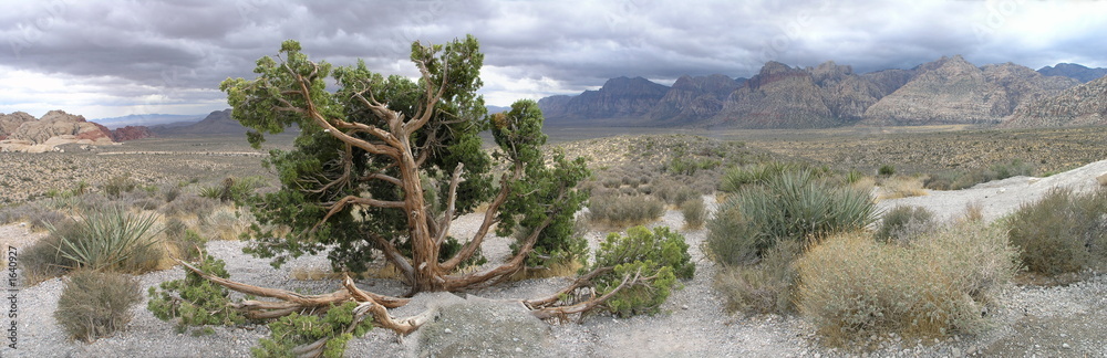 parorama of desert parorama of desert