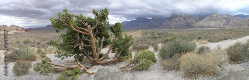 parorama of desert photo
