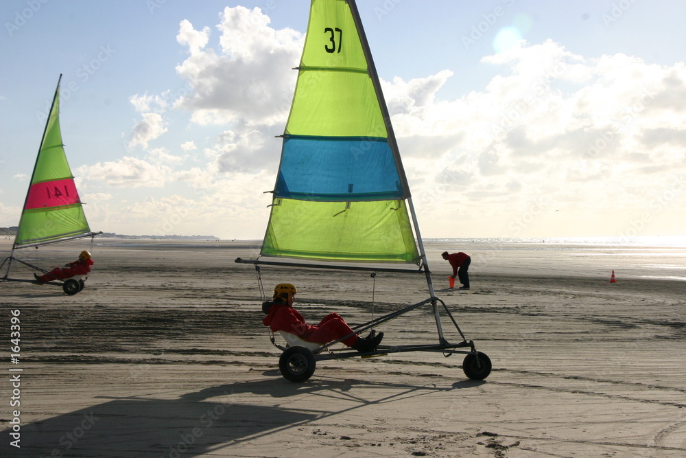 Fototapeta premium char à voile