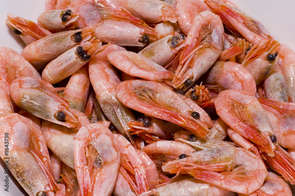 a lot of shrimps in a plate a lot of shrimps in a plate
