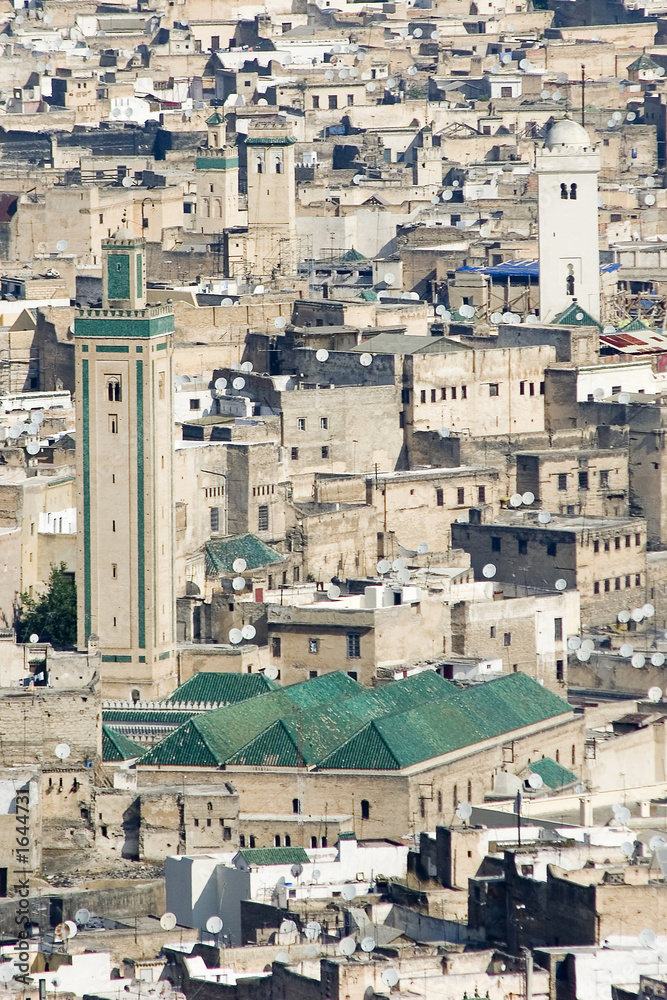 vue sur la médina de fès - maroc