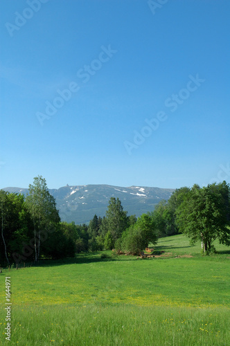 meadow and mountain