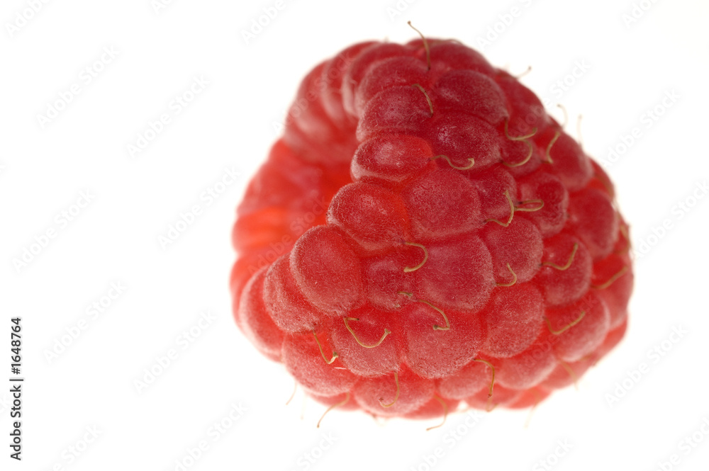 raspberry raspberry