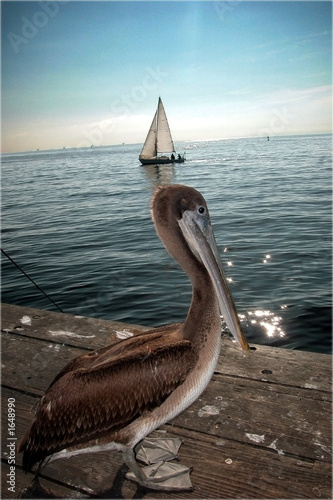 santa barbara