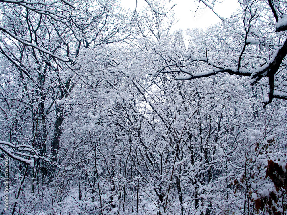 winter 3 winter 3