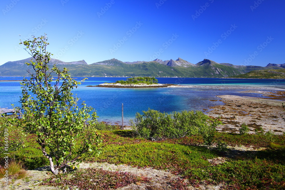 paysage des iles lofoten