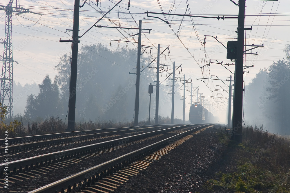 fog and train