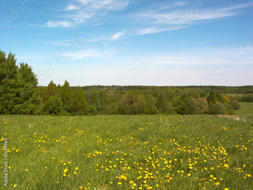 colourful field background