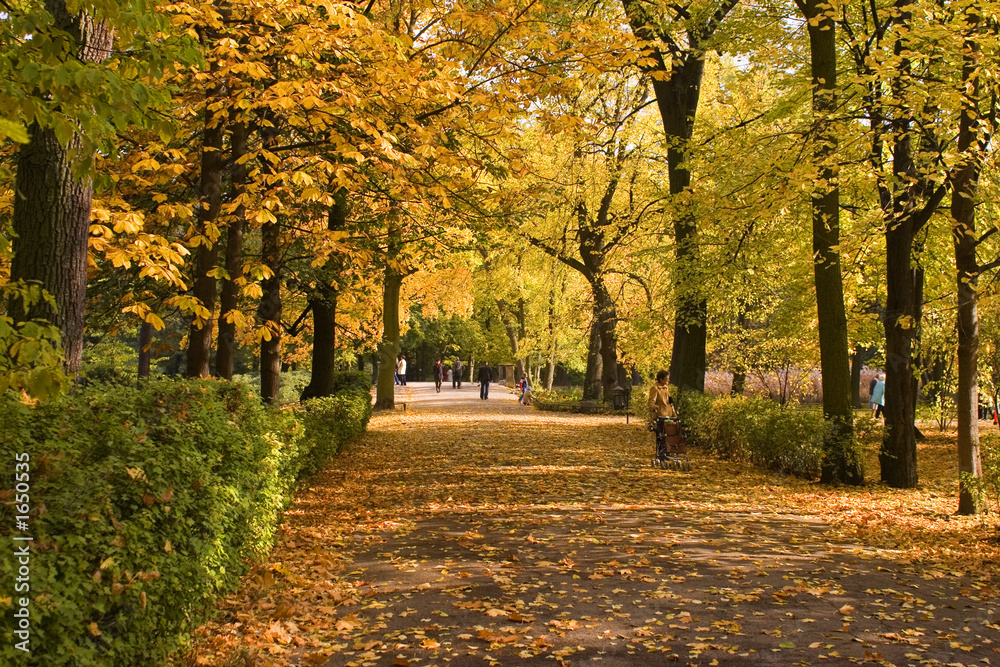 Naklejka premium lazienki royal park