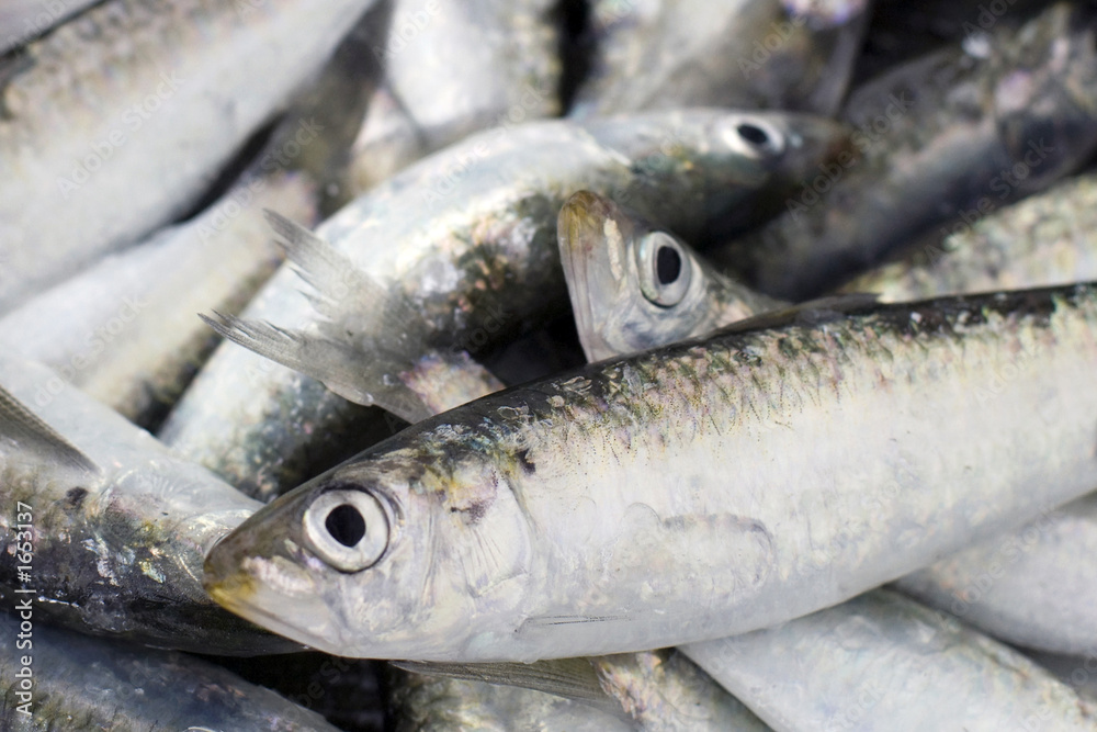 boquerones boquerones