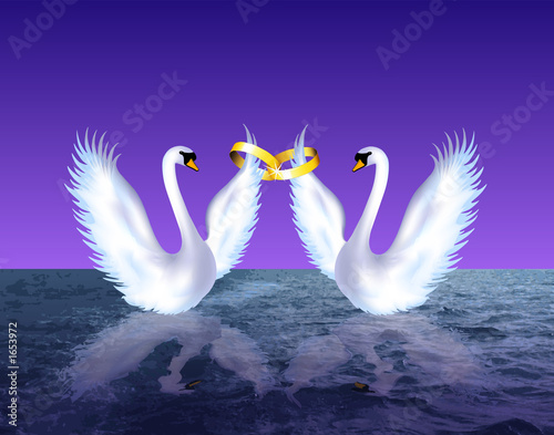 swans wedding