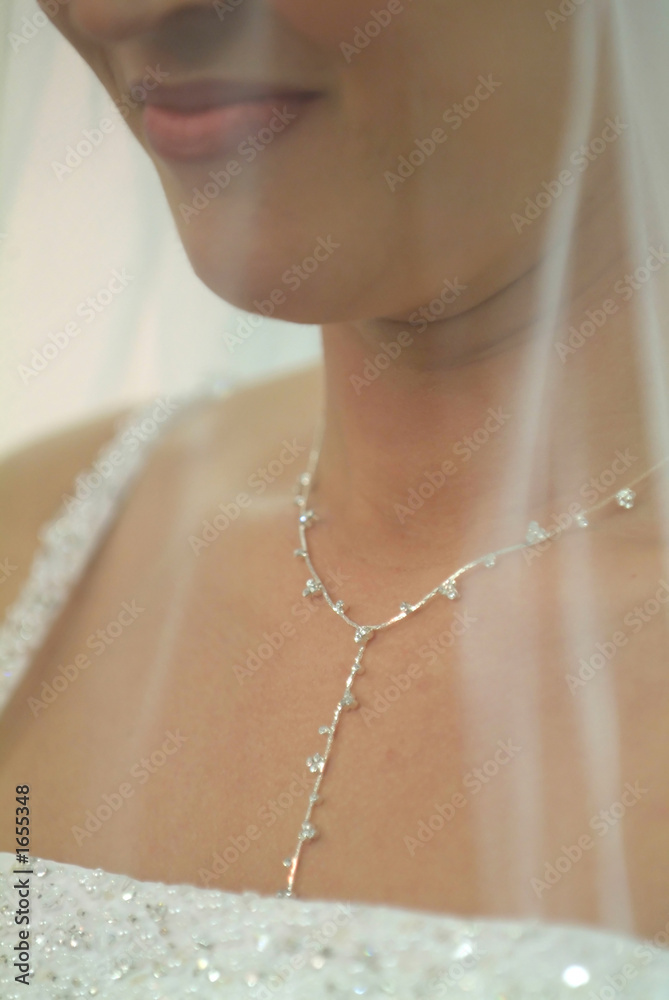 beautiful bride closeup with veil and necklace