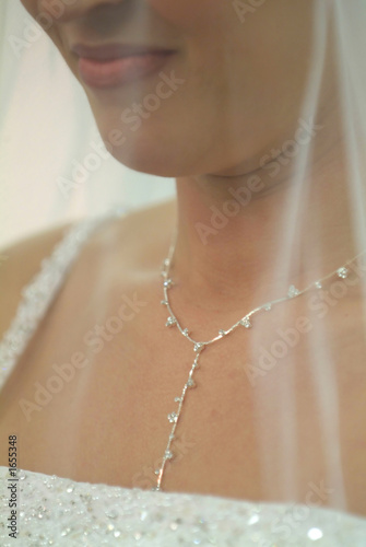 Obraz na płótnie beautiful bride closeup with veil and necklace w salonie