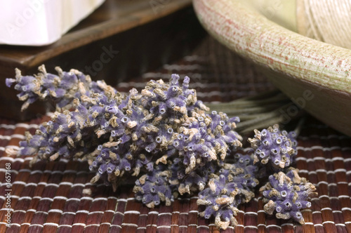 Fototapeta Naklejka Na Ścianę i Meble -  lavender bunch