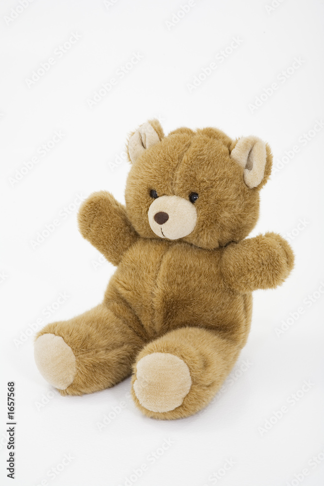 Fototapeta premium teddy bear
