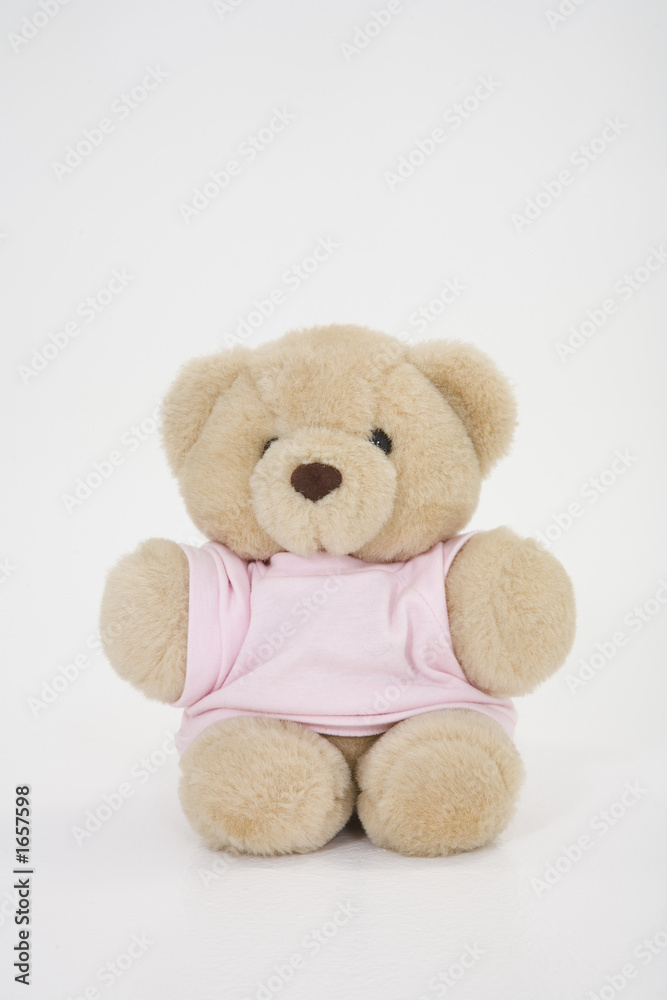 Obraz premium teddy bear