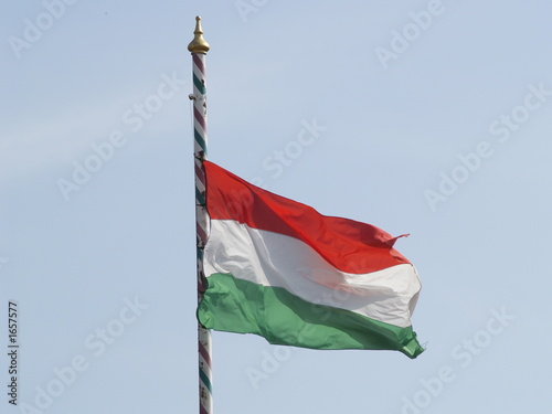 hungarian flag