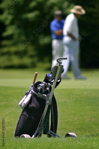 golf bolsa de palos_0031.
