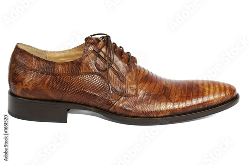man's shoe 2