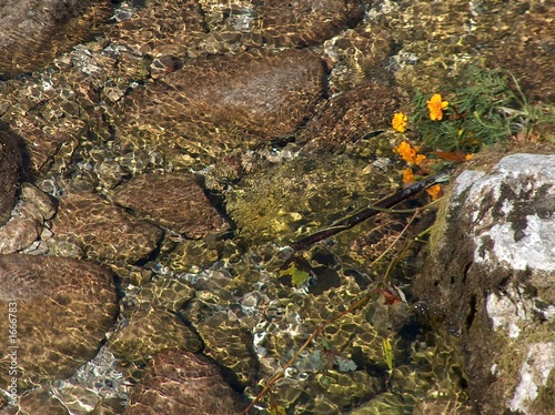 wasser, bach mit steingrund