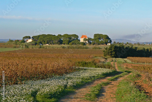 domaine