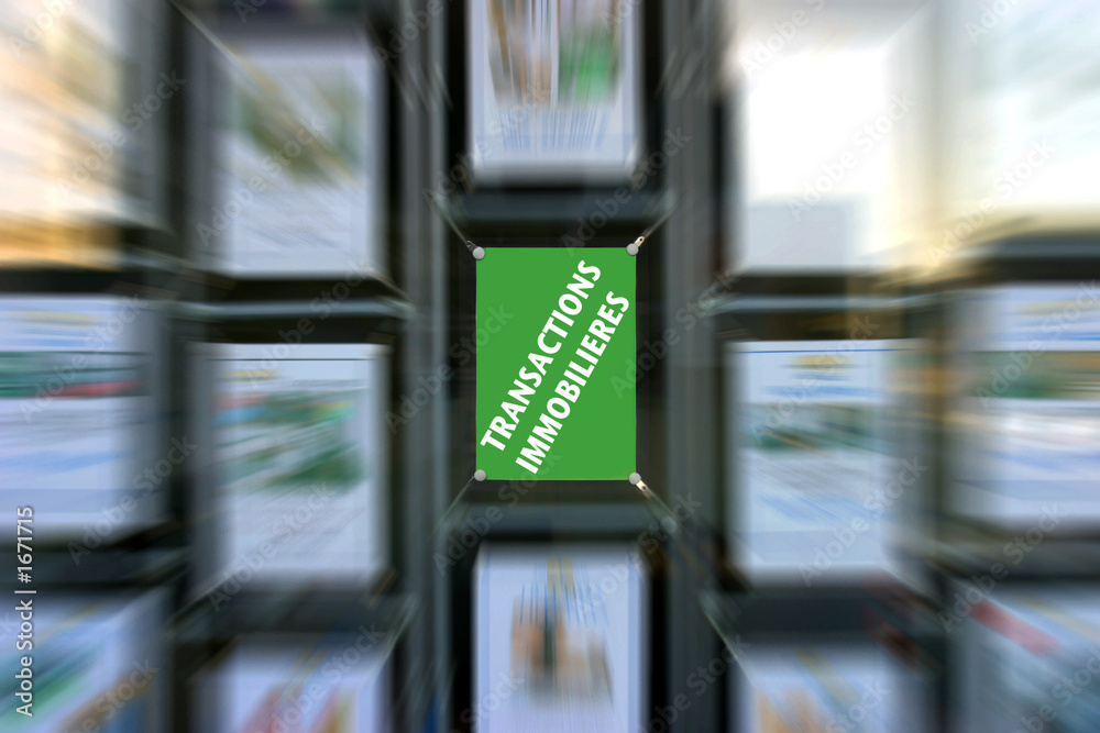 Agence achat et Vente de biens Immobiliers Agence achat et Vente de biens Immobiliers