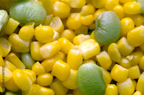 succotash photo