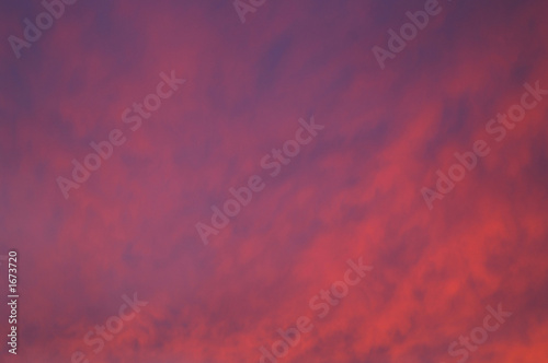 red and purple background