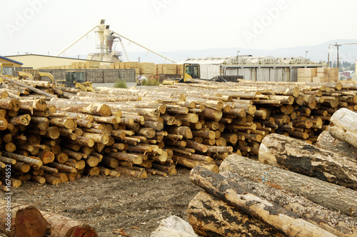logging yard