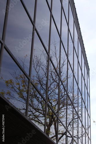 window reflection