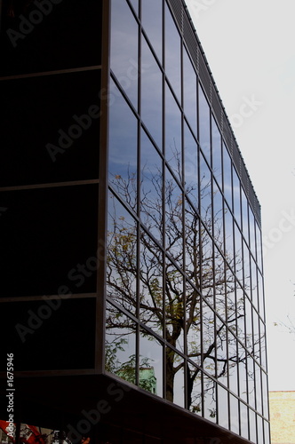 window reflection