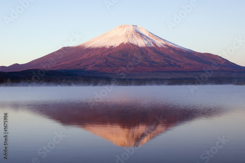 reflections in the mist