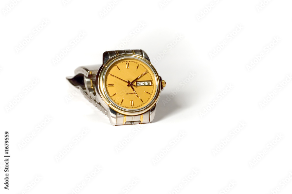wristwatch wristwatch