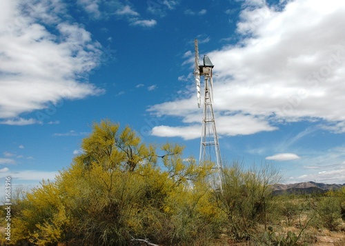 windmill 064 photo